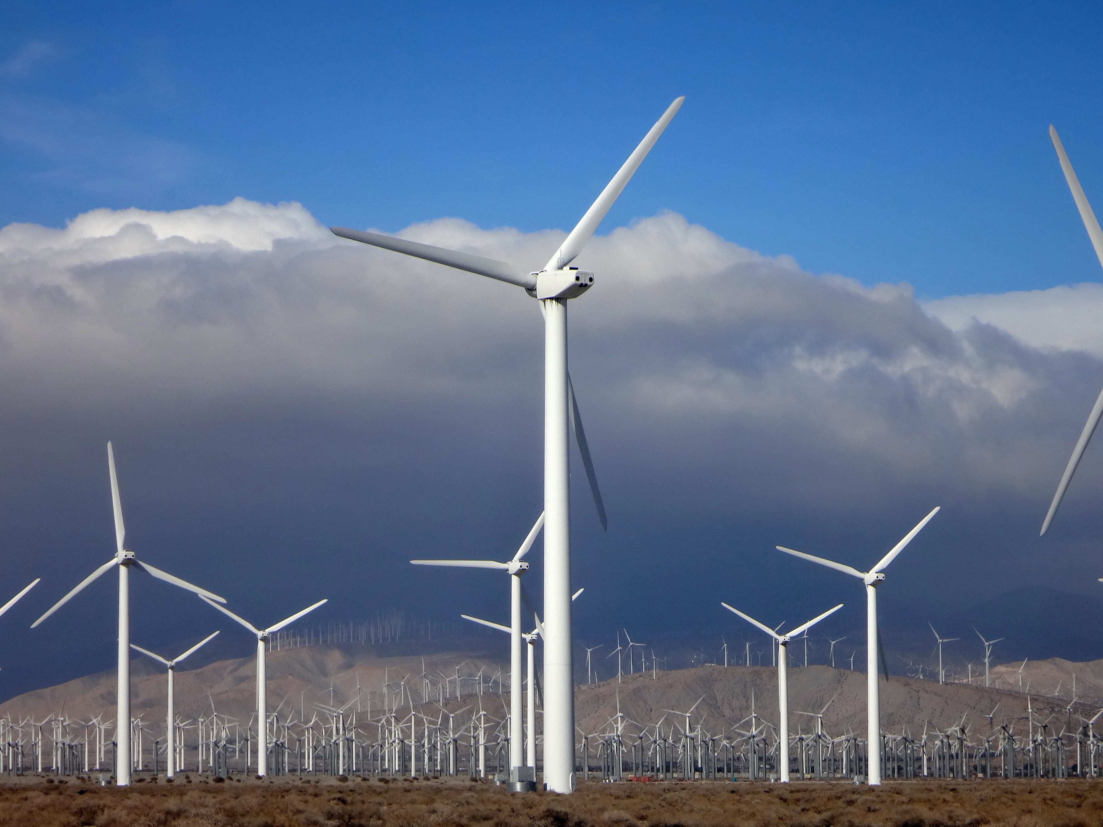 What Working With Wind Farms Taught Me